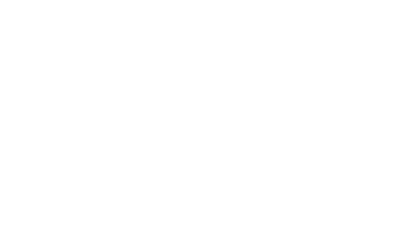 Overlord Ltd Logo